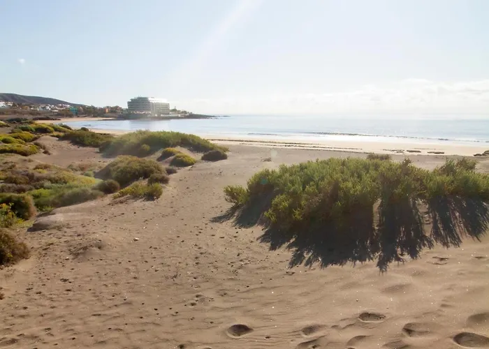 Apartamento Medano4you The Loft 007